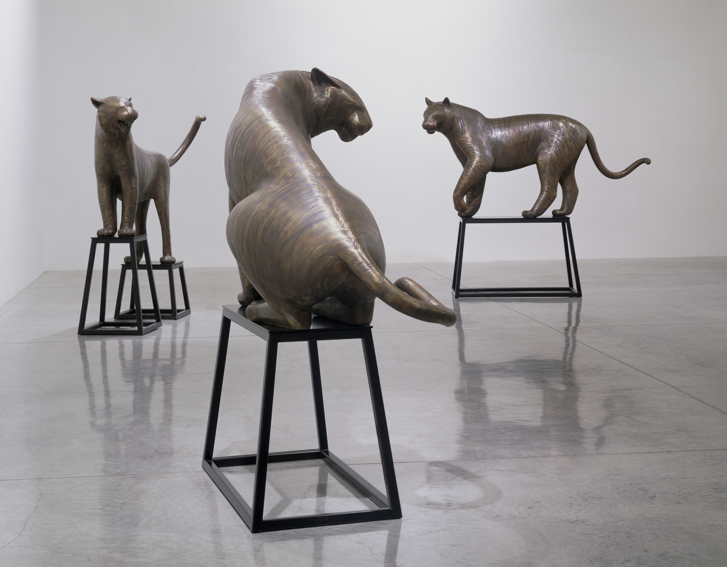 Big Cats — GWYNN MURRILL